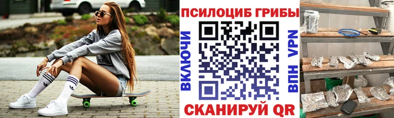 OMG онион  Ржев  Галлюциногенные грибы Magic Shrooms 